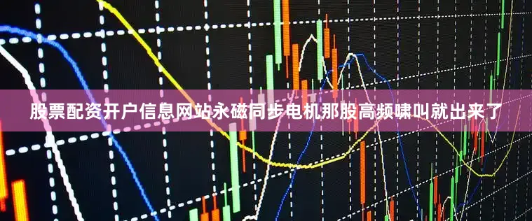 股票配资开户信息网站永磁同步电机那股高频啸叫就出来了